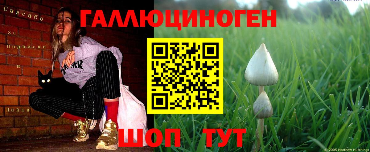 Галлюциногенные грибы Psilocybine cubensis  Вход с VPN  купить наркотики цена  Ефремов  Галлюциногенные грибы ЛСД 